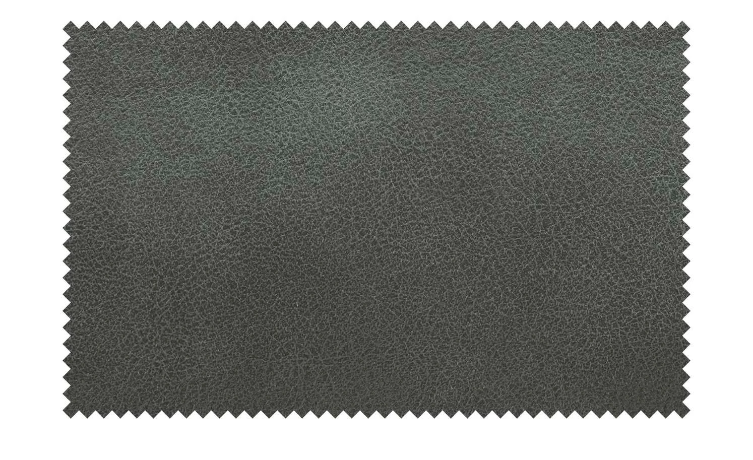 Max Schelling Multifunktionskopfstütze Maximum Plus | Stahl (Dunkelgrau) 8 Max Schelling Multifunktionskopfstütze Maximum Plus | Stahl (Dunkelgrau) – Bild 6