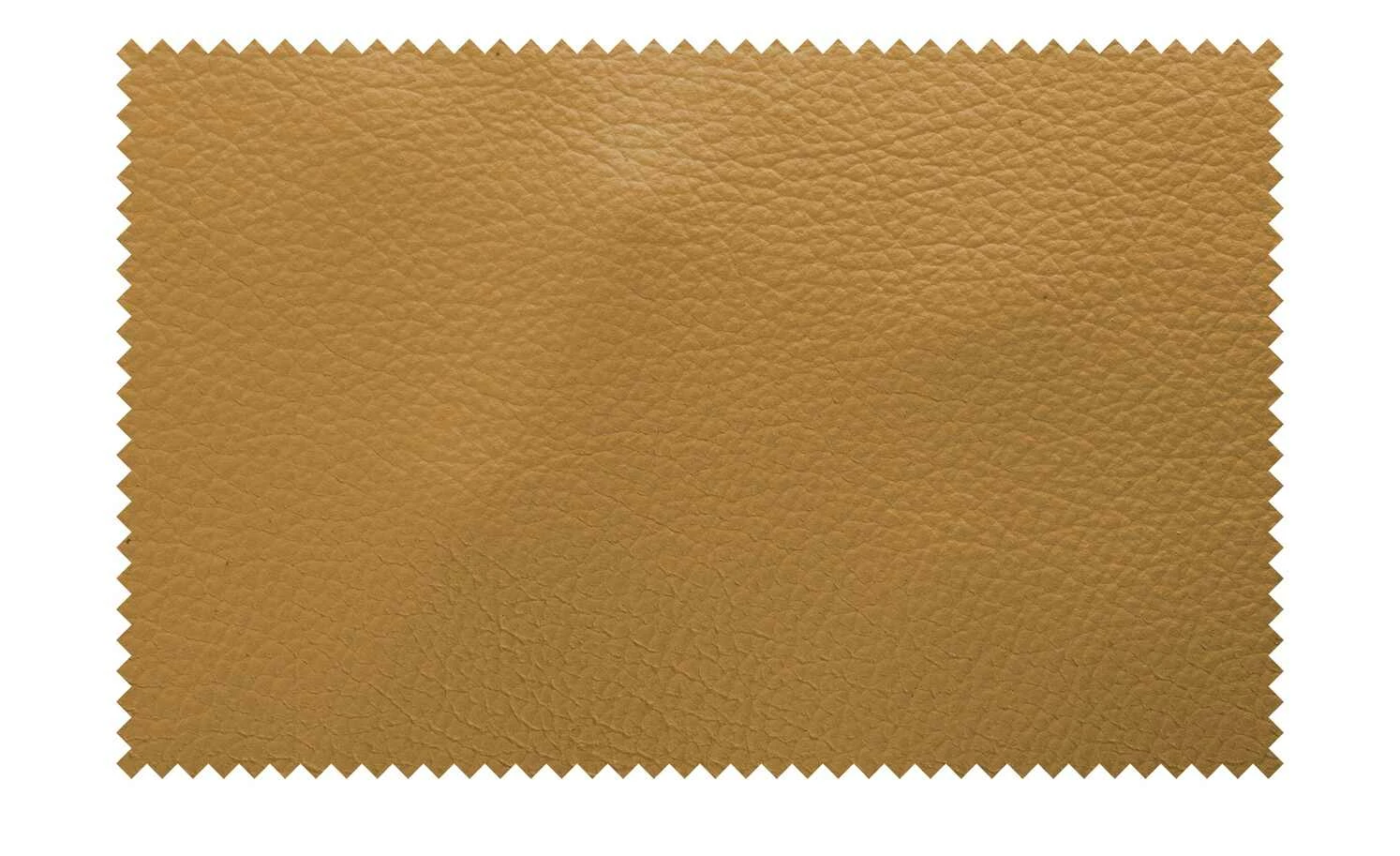 meinSofa Nierenkissen Dana | Kurkuma (Gelb-Grün) 6 meinSofa Nierenkissen Dana | Kurkuma (Gelb-Grün) – Bild 4