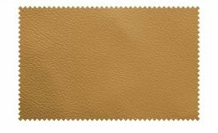 meinSofa Armlehnenkissen Dana | Kurkuma (Gelb-Grün) 11 meinSofa Armlehnenkissen Dana | Kurkuma (Gelb-Grün) -Polsterzubehör Verkäufe 2022 27403262 5 202108172240