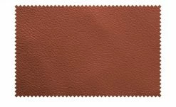 meinSofa Armlehnenkissen Dana | Chilli (Rot) 11 meinSofa Armlehnenkissen Dana | Chilli (Rot) -Polsterzubehör Verkäufe 2022 28400614 5 202108172241