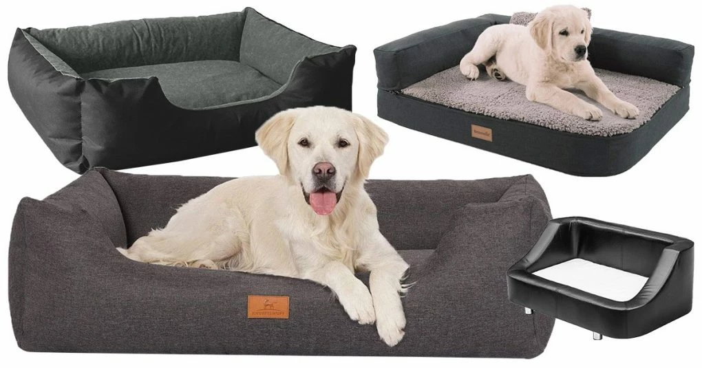 Polsterzubehör Verkäufe 2022 10 Polsterzubehör Verkäufe 2022 -Polsterzubehör Verkäufe 2022 2199