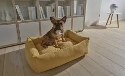 LABONI Hundebett Classic | Gold (Gelb) S