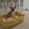 LABONI Hundebett Classic | Gold (Gelb) M -Polsterzubehör Verkäufe 2022 28401358 5 202108051259