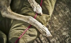 LABONI Hundebett Samt Classic | Olive (Grün) S -Polsterzubehör Verkäufe 2022 28401361 1 202108051259