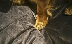 LABONI Hundebett Samt Classic | Stone (Grau) S -Polsterzubehör Verkäufe 2022 28401367 5 202108051259