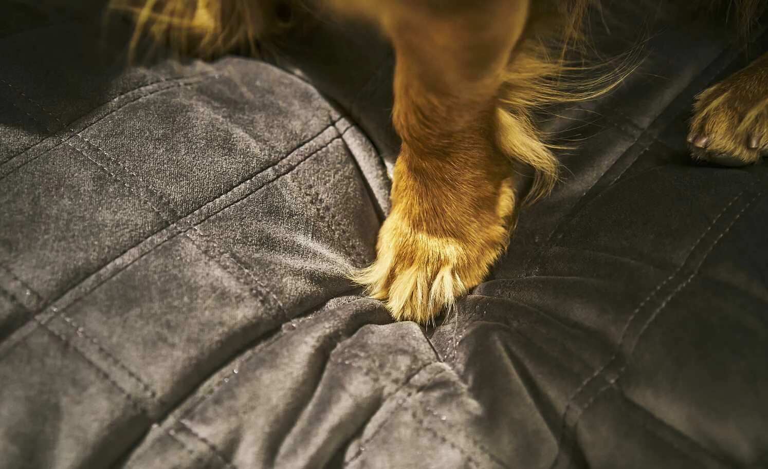 LABONI Hundebett Samt Classic | Stone (Grau) M 6 LABONI Hundebett Samt Classic | Stone (Grau) M – Bild 4