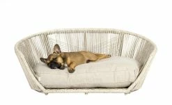 LABONI Design-Hundebett Vogue 20 LABONI Design-Hundebett Vogue -Polsterzubehör Verkäufe 2022 28401375 4 202108062232