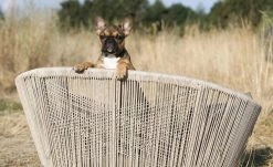 Polsterzubehör Verkäufe 2022 14 LABONI Design-Hundebett Vogue