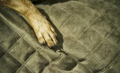 LABONI Hundedecke Oxford | Olive (Grün) M -Polsterzubehör Verkäufe 2022 28401380 1 202108041300