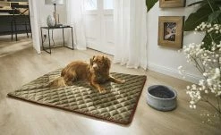 LABONI Hundedecke Oxford | Olive (Grün) M -Polsterzubehör Verkäufe 2022 28401380 4 202108041300