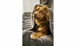 LABONI Hundedecke Oxford | Stone (Grau) M