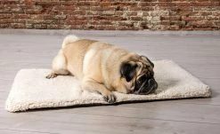 Orthopädisches Liegekissen Ito | XXL