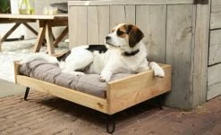 Polsterzubehör Verkäufe 2022 -Polsterzubehör Verkäufe 2022 28401955 2 202108062232