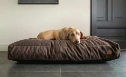 Designed by Lotte Liegekissen für Hunde Unnay | Braun L