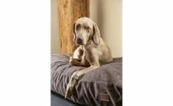 Polsterzubehör Verkäufe 2022 -Polsterzubehör Verkäufe 2022 28401993 1 202108091258