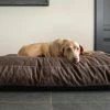 Designed by Lotte Liegekissen für Hunde Unnay | Braun XL -Polsterzubehör Verkäufe 2022 28401993 2 202108091258