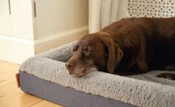 Orthopädisches Hundebett Yura | L 7 Orthopädisches Hundebett Yura | L -Polsterzubehör Verkäufe 2022 28402097 1 202108091258