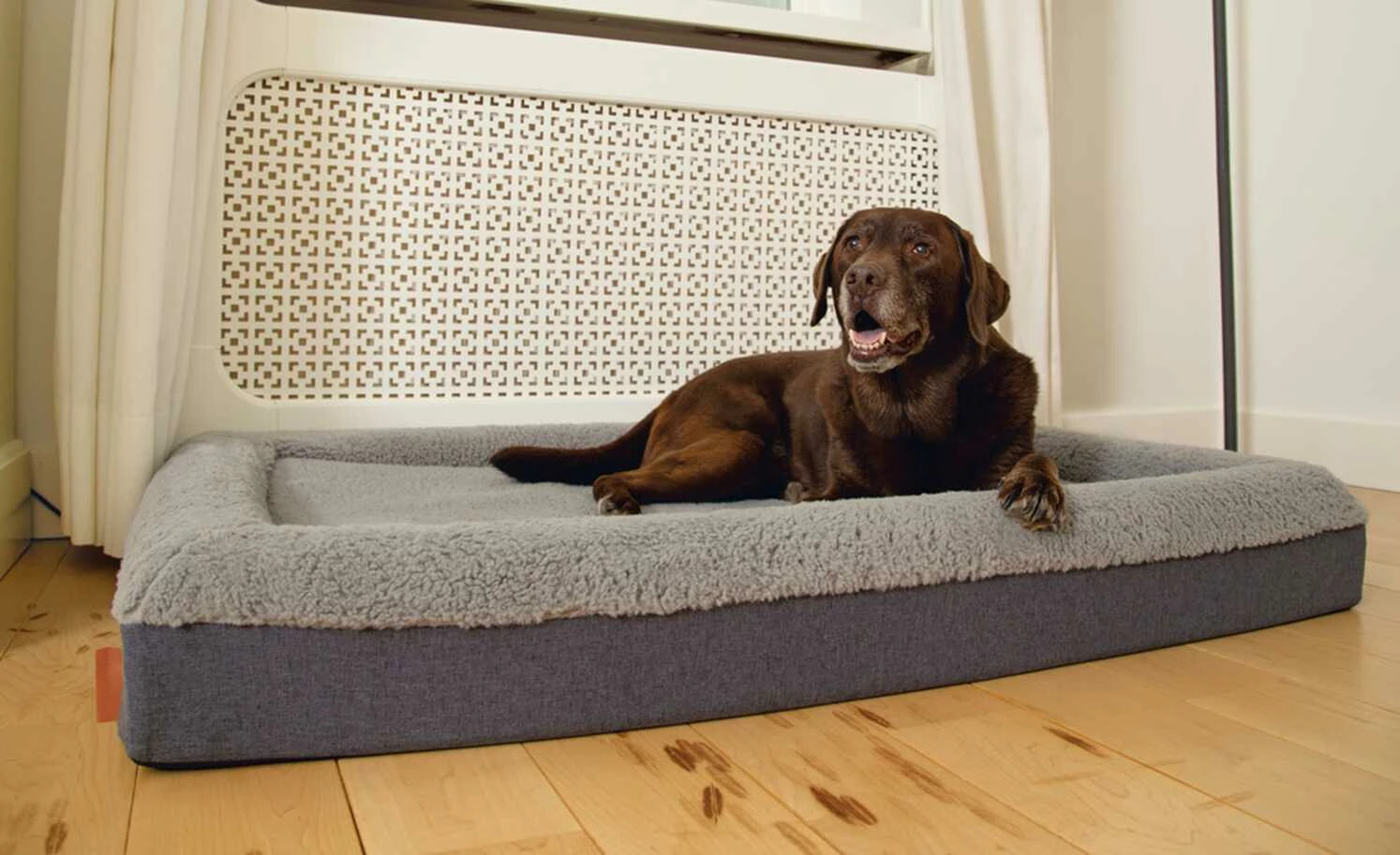 Orthopädisches Hundebett Yura | L 3 Orthopädisches Hundebett Yura | L